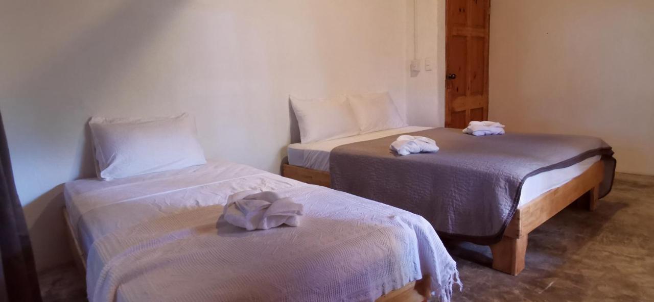 Armadillo Eco Bungalows - Santa Teresa Playa Santa Teresa  Kültér fotó