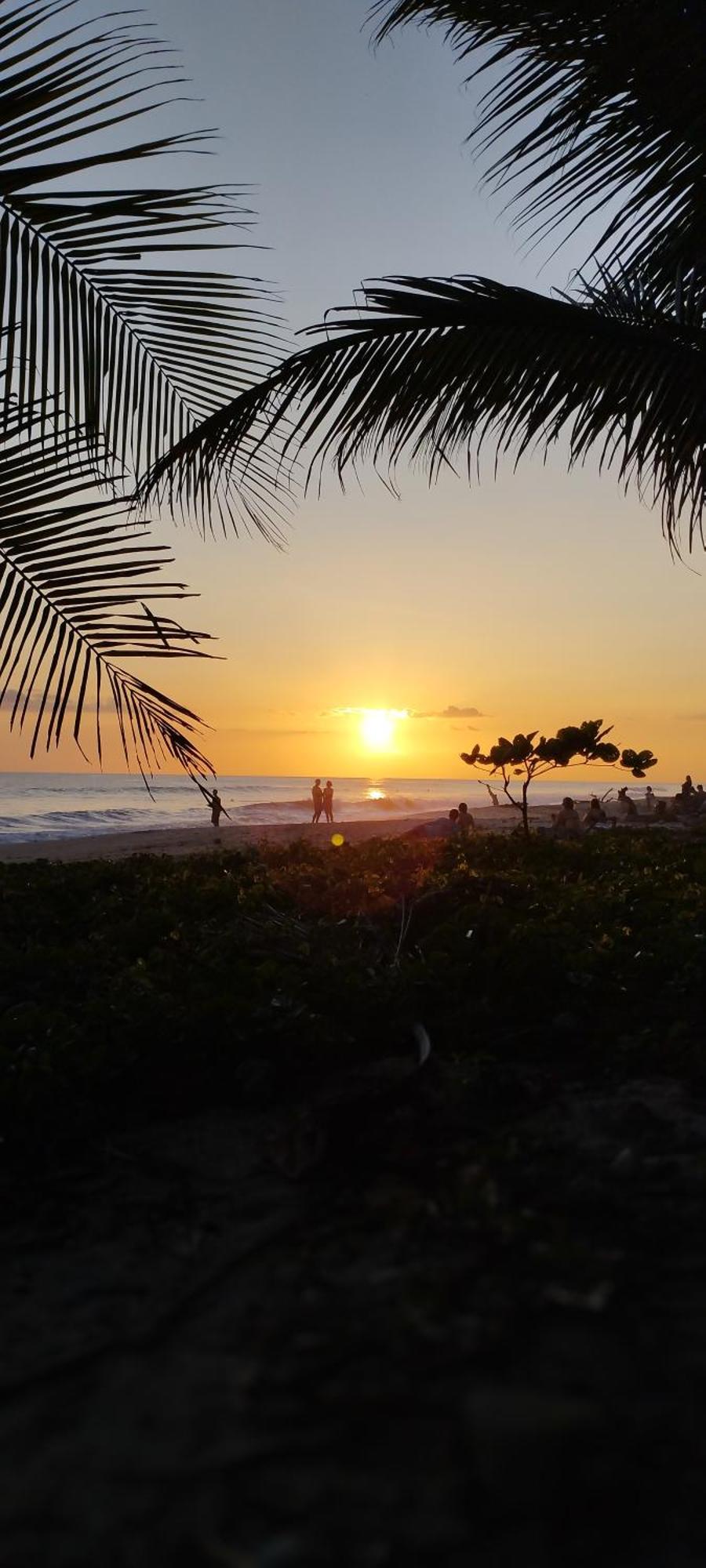 Armadillo Eco Bungalows - Santa Teresa Playa Santa Teresa  Kültér fotó