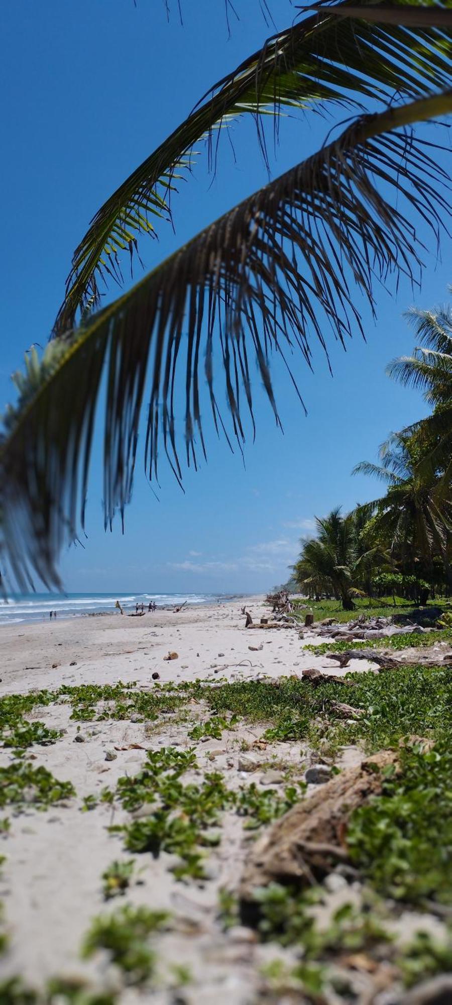 Armadillo Eco Bungalows - Santa Teresa Playa Santa Teresa  Kültér fotó